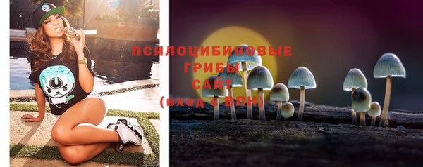 mdpv Ветлуга