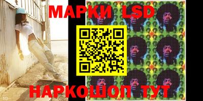 гидра Кимры