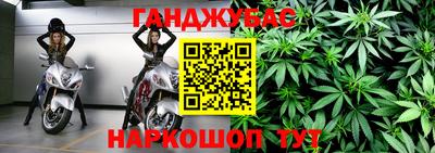 гидра Кимры