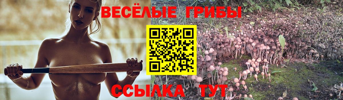Псилоцибиновые грибы GOLDEN TEACHER Сургут